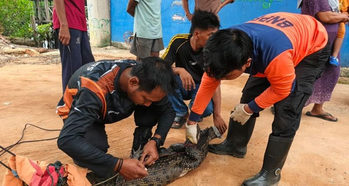 Kejutan Di Restoran Apung: Warga Mancing Malah Dapat Buaya