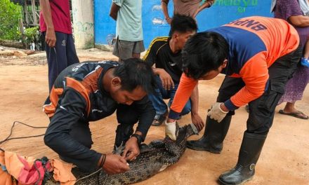 Kejutan Di Restoran Apung: Warga Mancing Malah Dapat Buaya