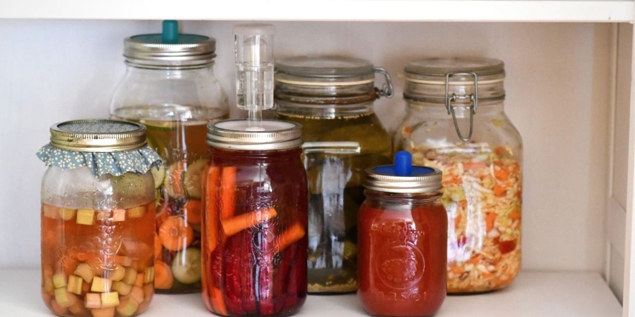 Tren “Pickled Everything”: Fermentasi Makanan Kembali Populer