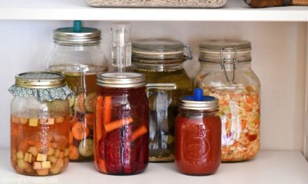 Tren “Pickled Everything”: Fermentasi Makanan Kembali Populer