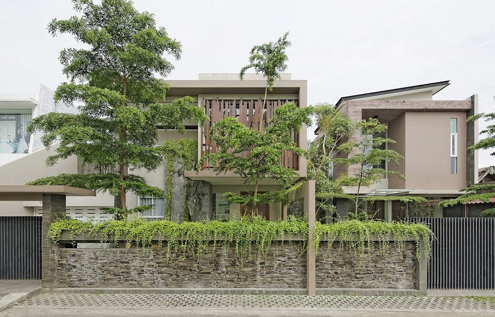 Rekomendasi Tanaman Pagar Rumah Yang Cocok Untuk Hunian