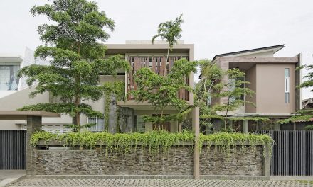 Rekomendasi Tanaman Pagar Rumah Yang Cocok Untuk Hunian