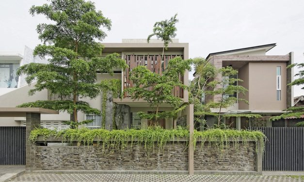 Rekomendasi Tanaman Pagar Rumah Yang Cocok Untuk Hunian