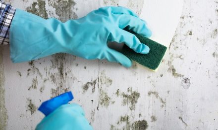 Solusi Cepat Menghilangkan Noda Tangan Di Dinding Rumah