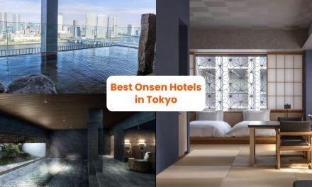 Nikmati Sakura Lebih Dekat, Rekomendasi Hotel Terbaik Di Jepang