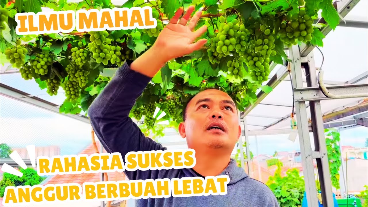 Trik Petani Sukses