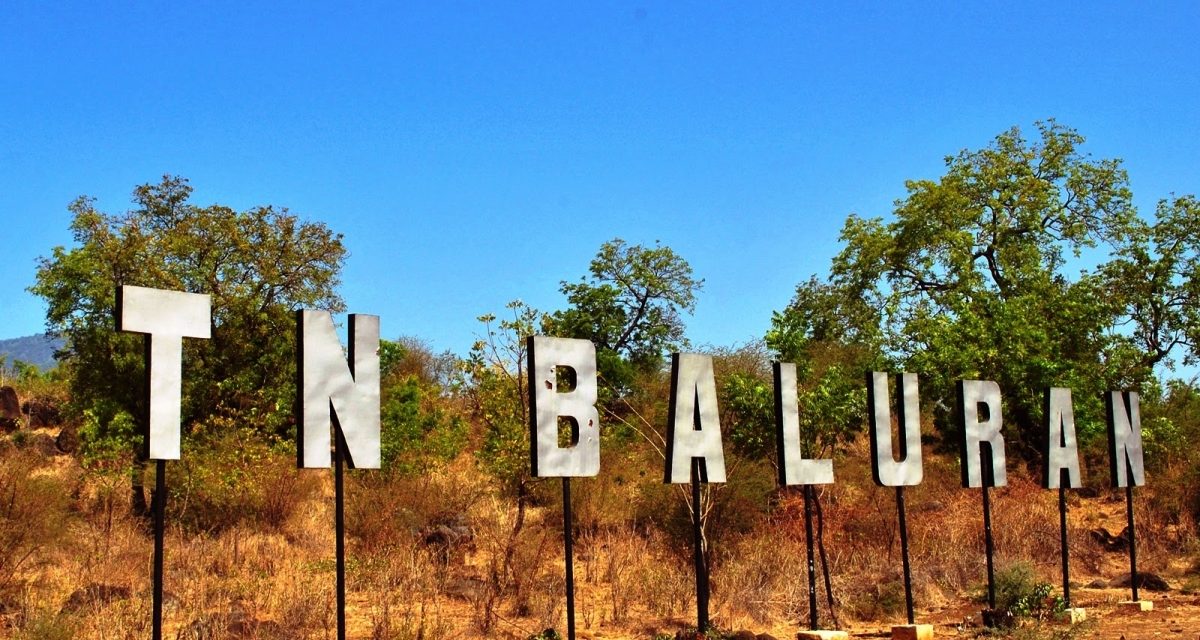 Taman Nasional Baluran, “Afrika Van Java” Dengan Savana Terluas