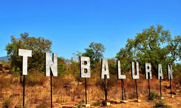 Taman Nasional Baluran, “Afrika Van Java” Dengan Savana Terluas