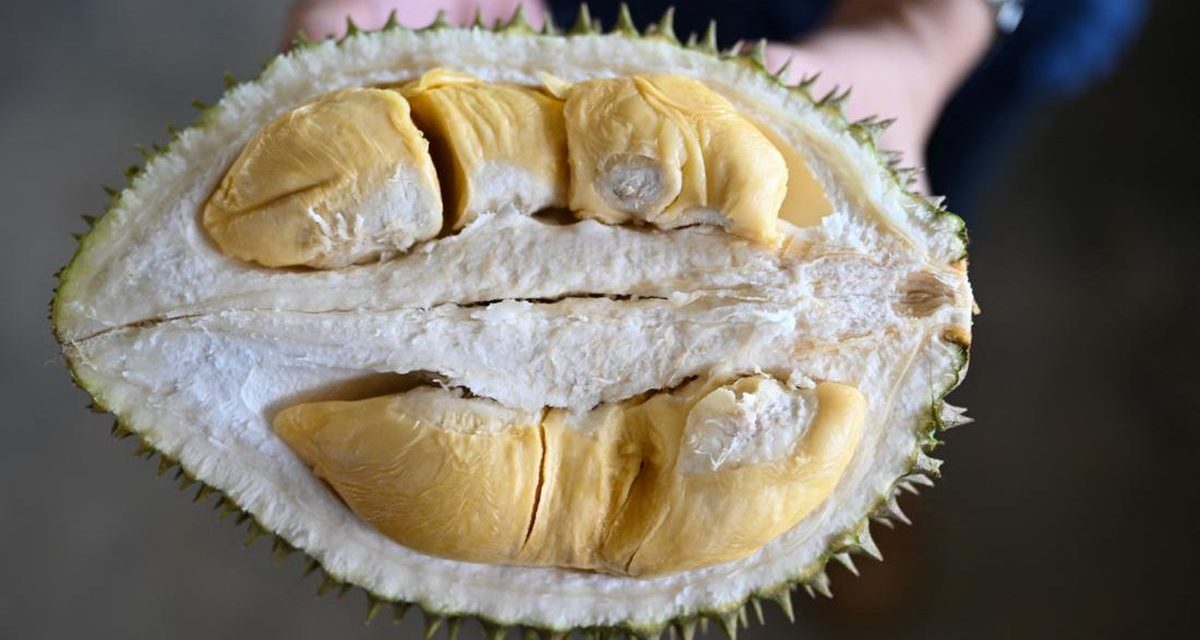 Menkes Ingatkan Resiko Kombinasi Durian Dan Olahan Kambing