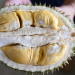 Menkes Ingatkan Resiko Kombinasi Durian Dan Olahan Kambing