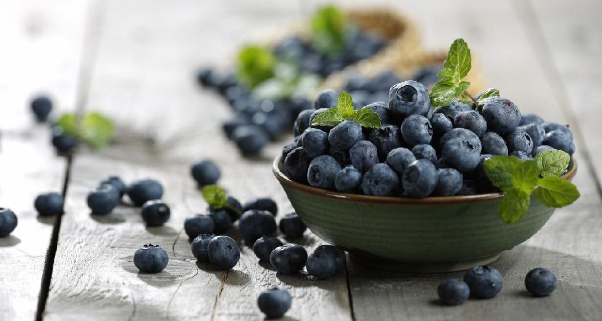 Blueberry & Antosianin, Benarkah Efektif Menjaga Tekanan Darah?
