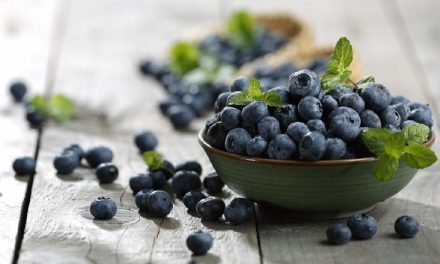 Blueberry & Antosianin, Benarkah Efektif Menjaga Tekanan Darah?