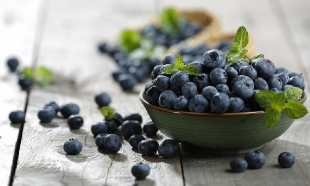Blueberry & Antosianin, Benarkah Efektif Menjaga Tekanan Darah?